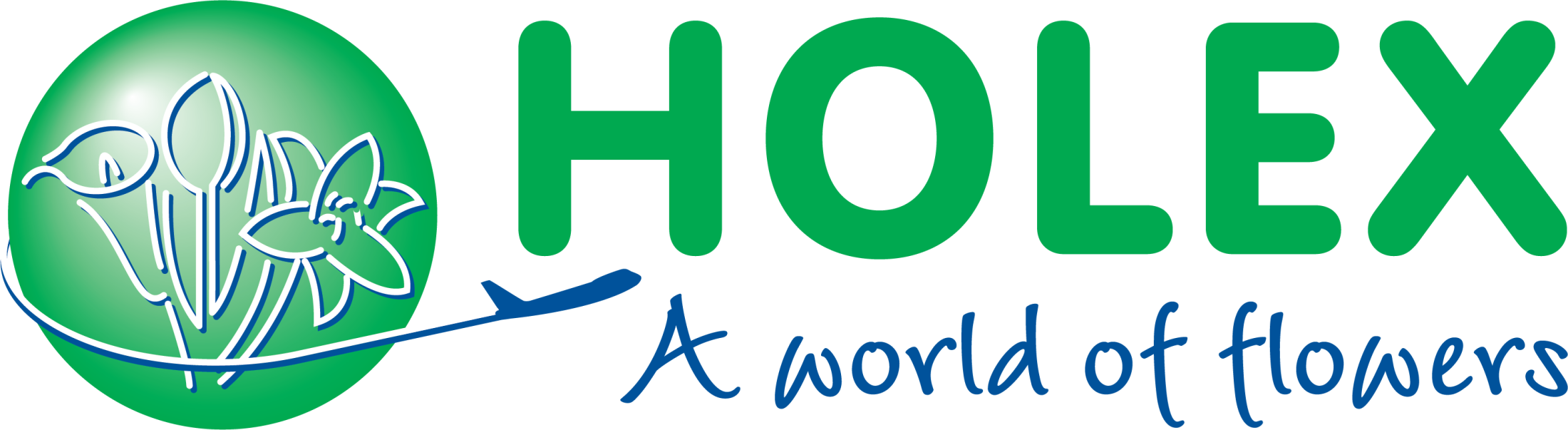 Holex - Logo