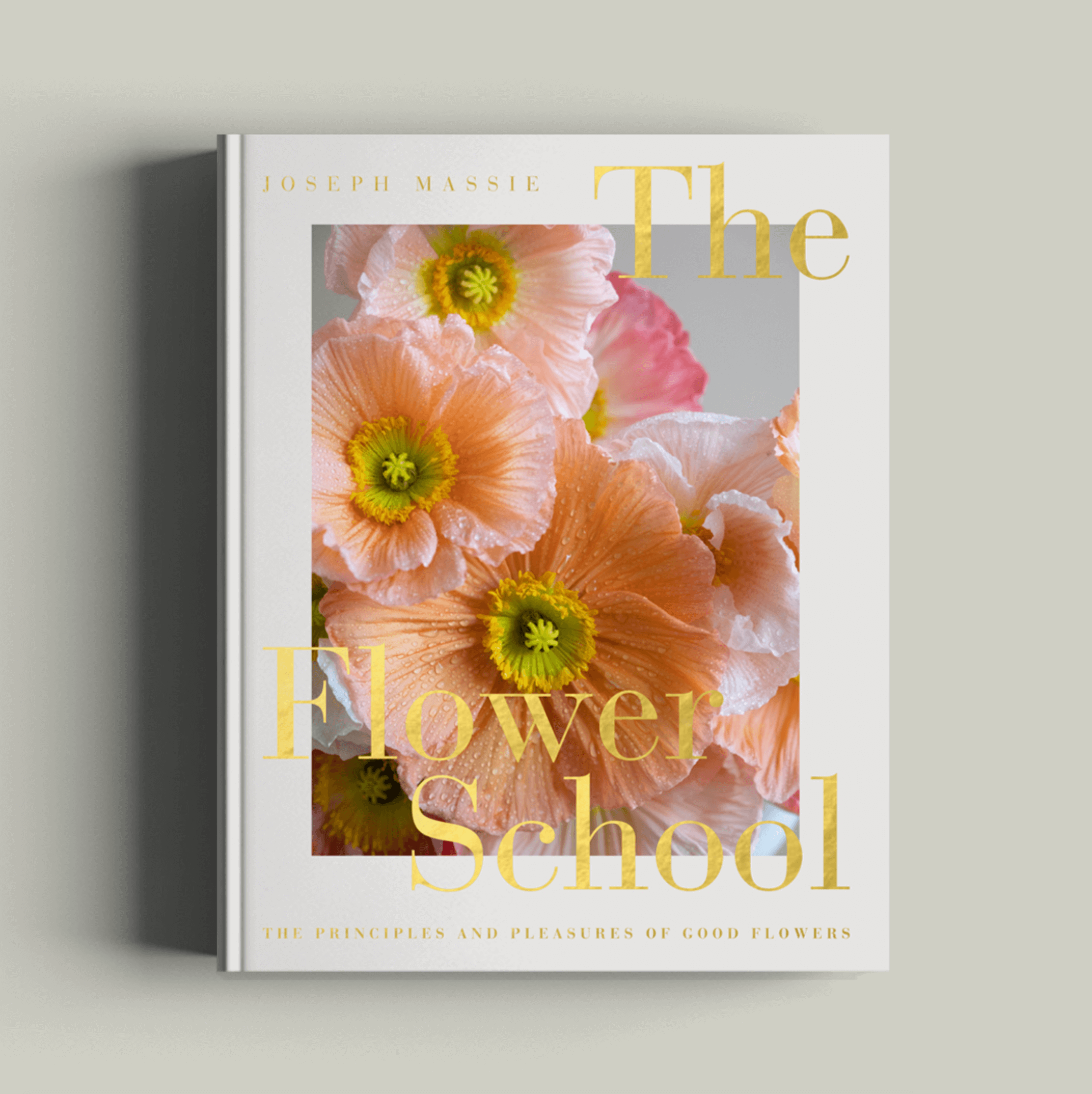 The Flower School by Joseph Massie