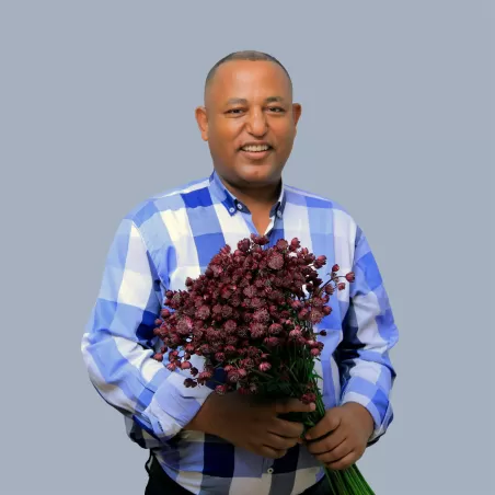 Hailu Ayalew