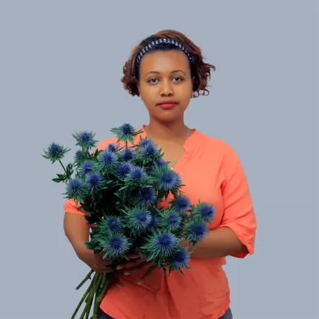 Jalene Abebe