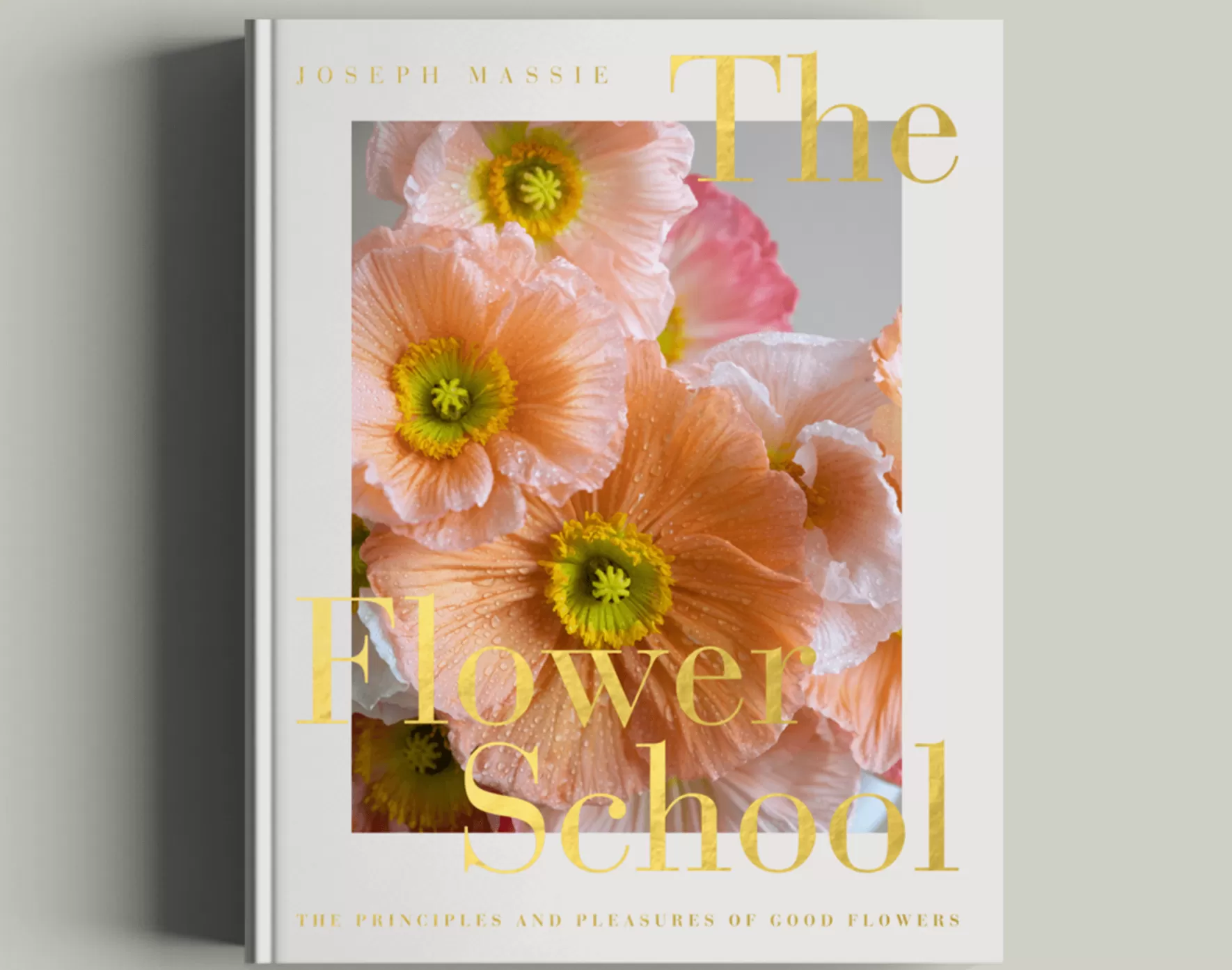 The Flower School by Joseph Massie