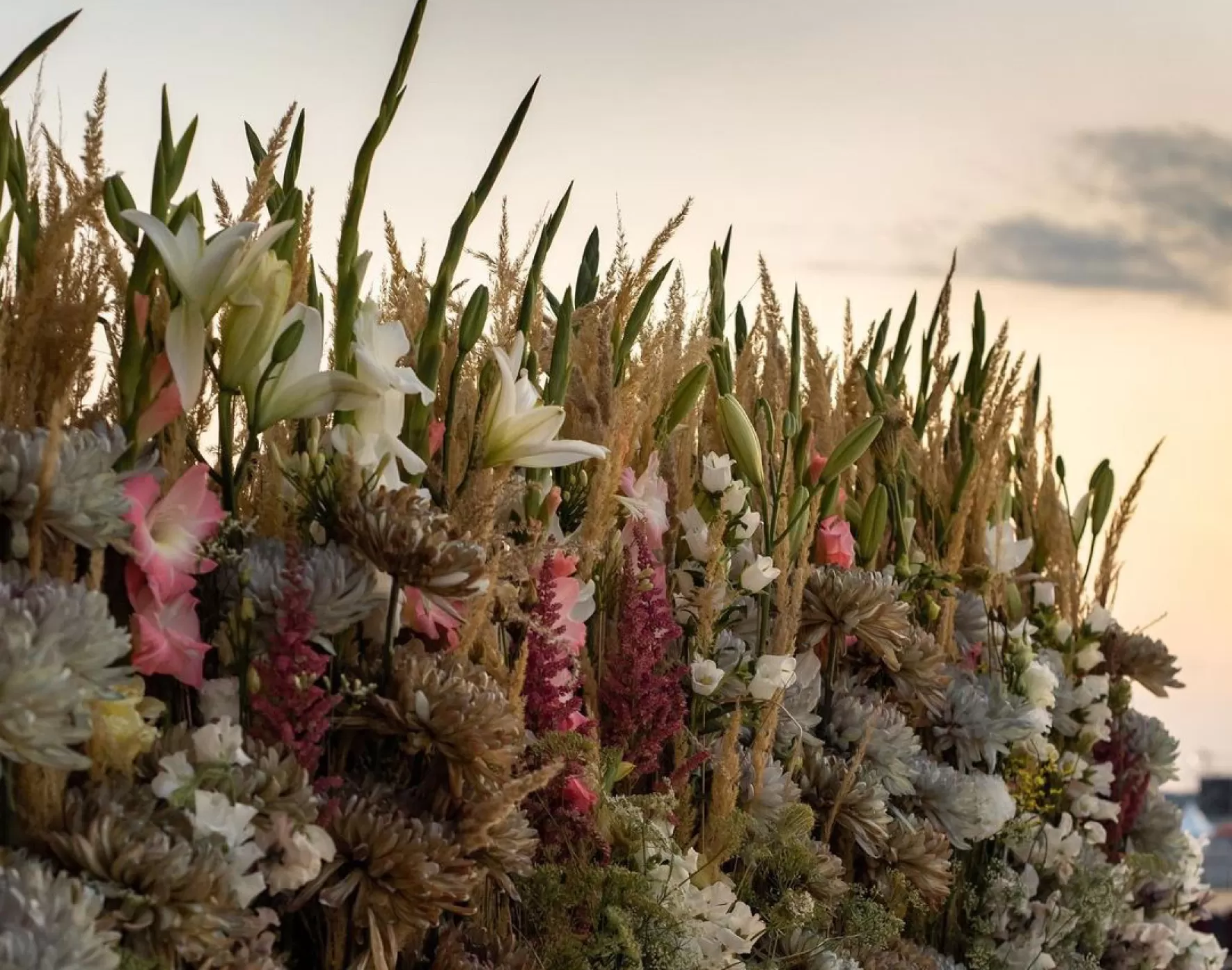 flowers for the pope