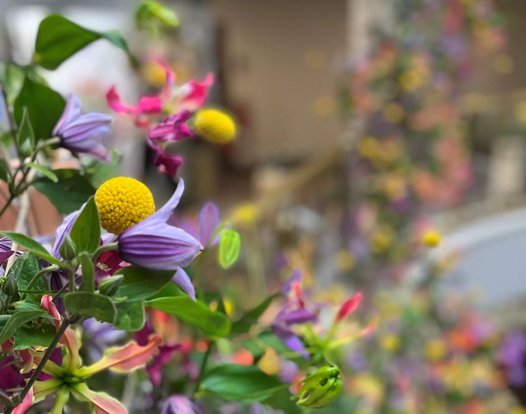 Bloemontwerp met Craspedia, Clematis en Gloriosa