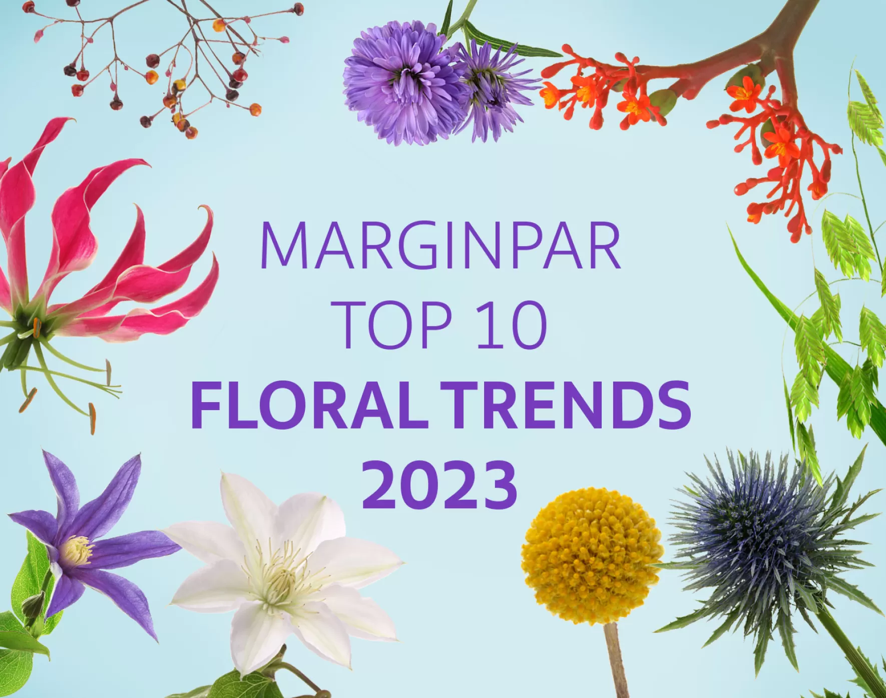 The Top Winter Flower Trends in 2023