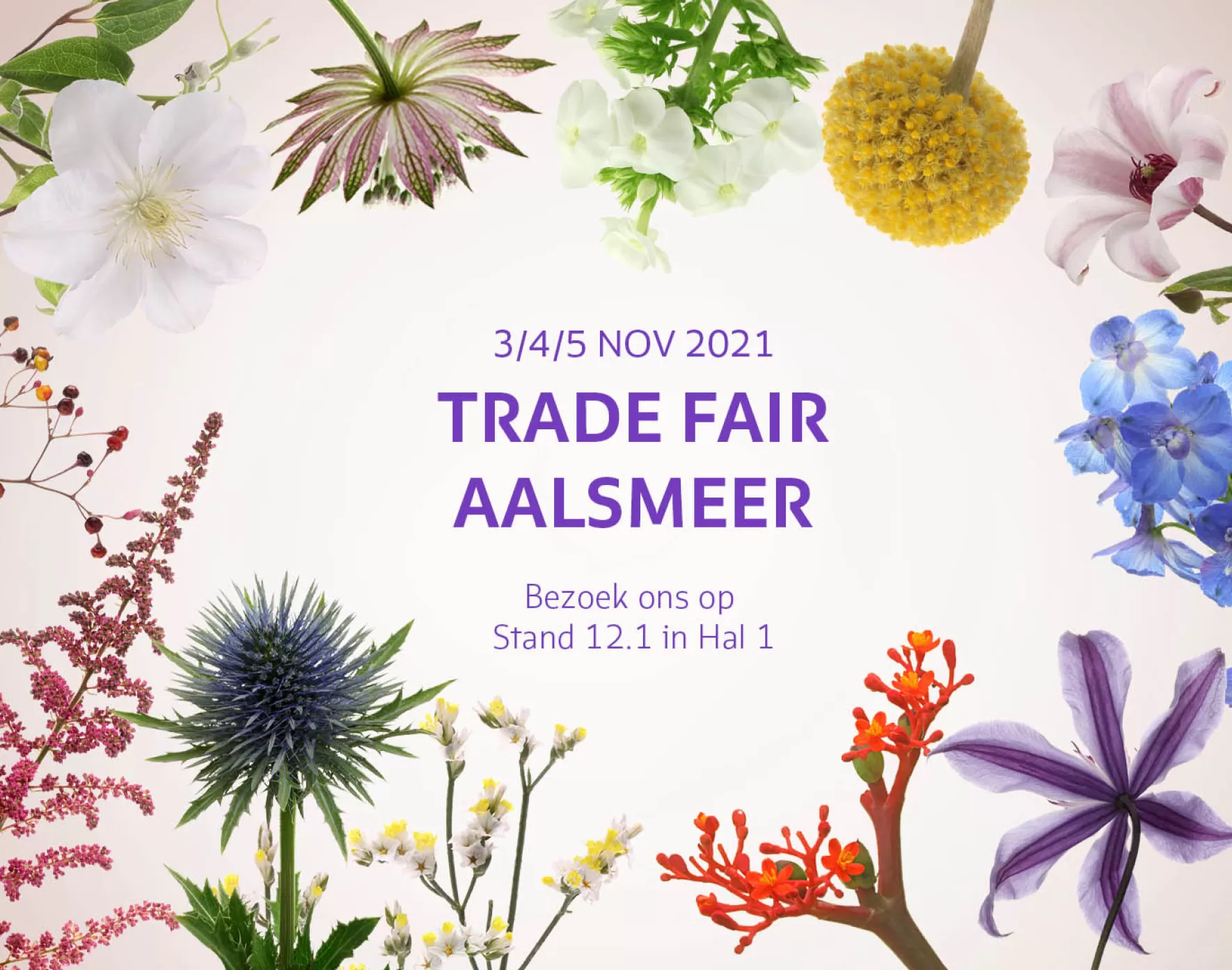 Trade Fair Aalsmeer 2021