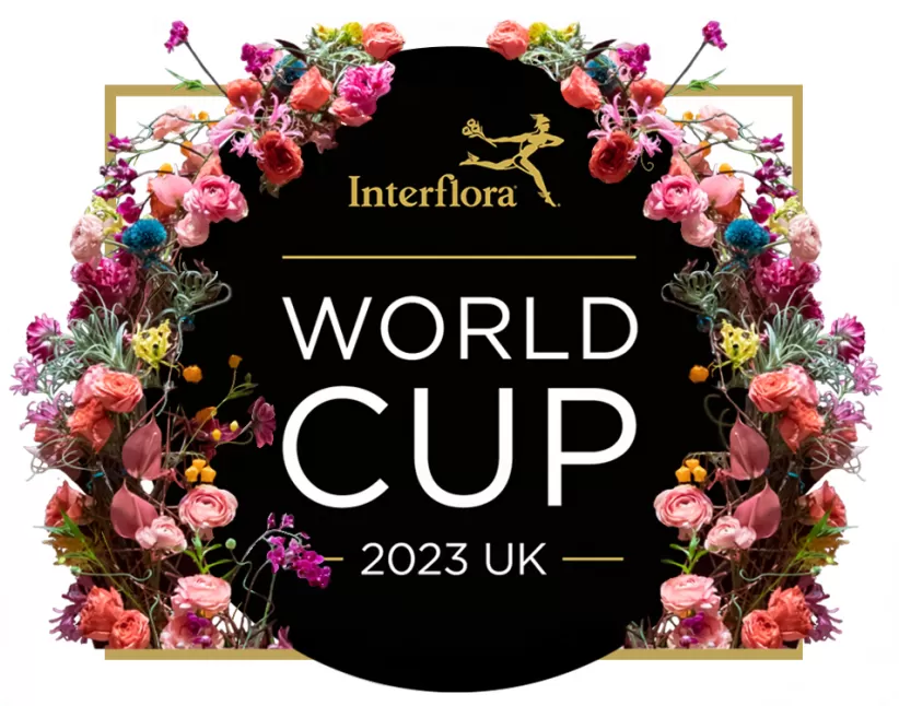World Cup UK 2023