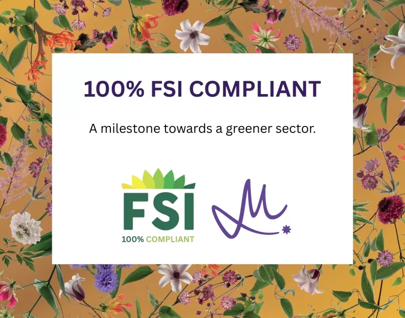 100% FSI compliant