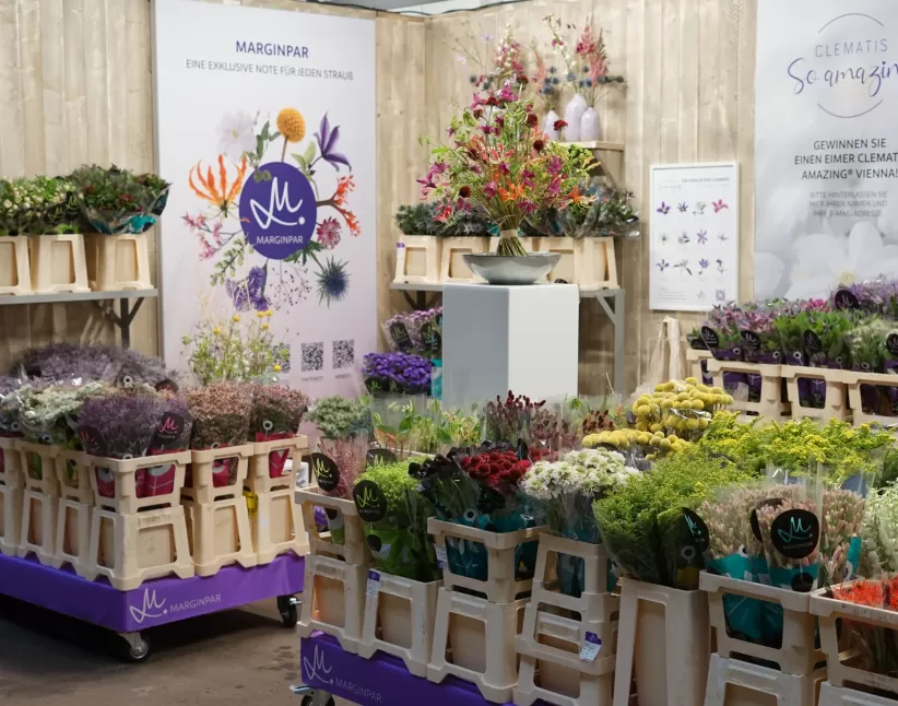 Buhk Blumen Marginpar pop up