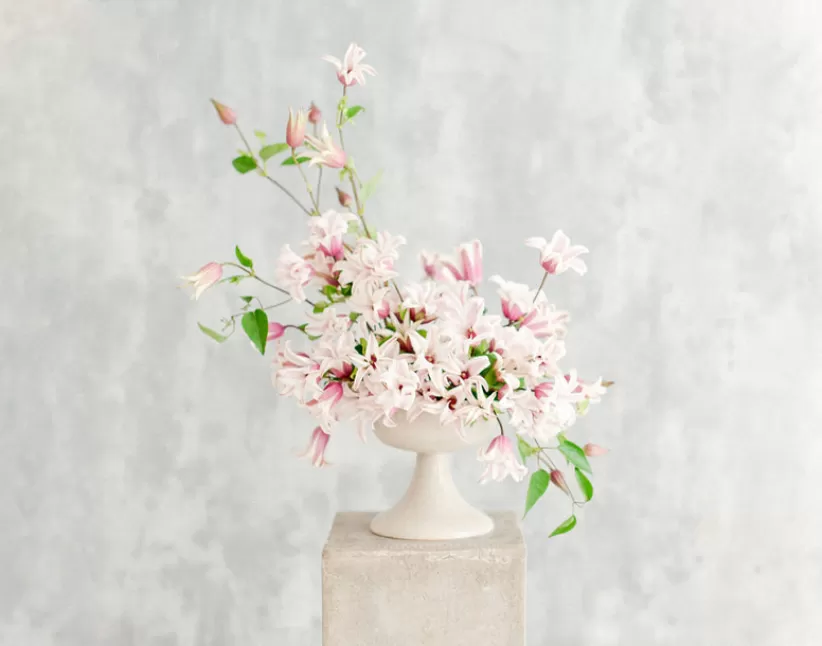 Clematis Amazing® Sevilla neemt een groeipauze