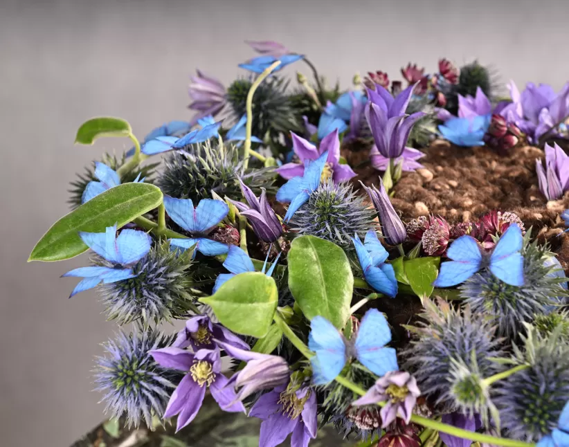 Bohater_Szepczące_Skrzydła