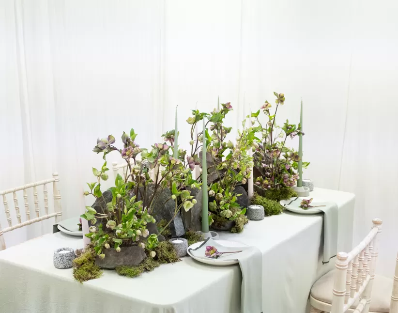 Hellebore DIY table centerpiece