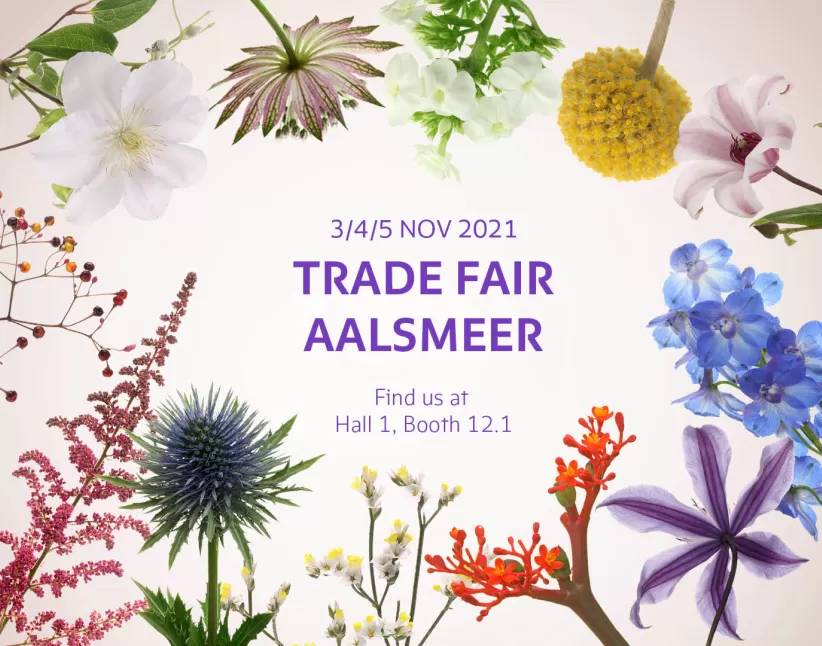Trade Fair Aalsmeer 2021