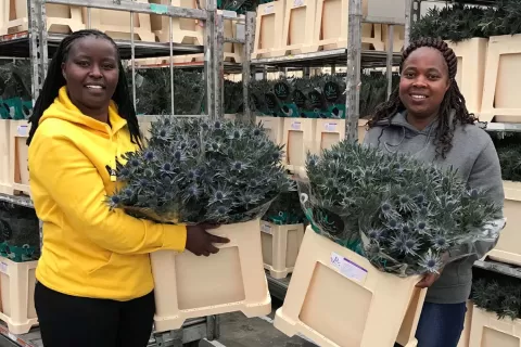 Post-Harvest Managers Jemimah Kiora and Priscilla Muhonja