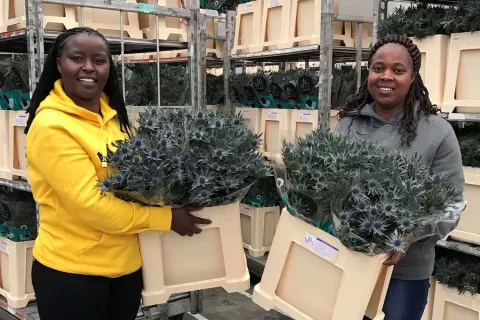 POST-HARVEST MANAGERS JEMIMAH KIORIA AND PRISCILLA MUHONJA