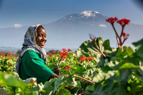 Marginpar Tanzania