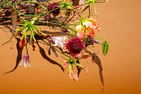 Floral Trends 2025 