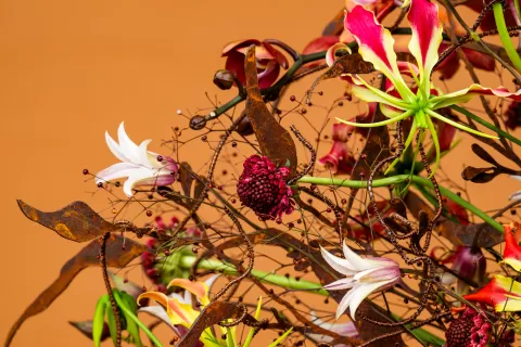 Floral Trends 2025 