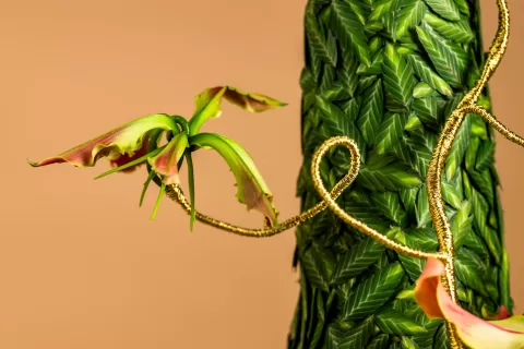 Hanneke Frankema Design chasmanthium 