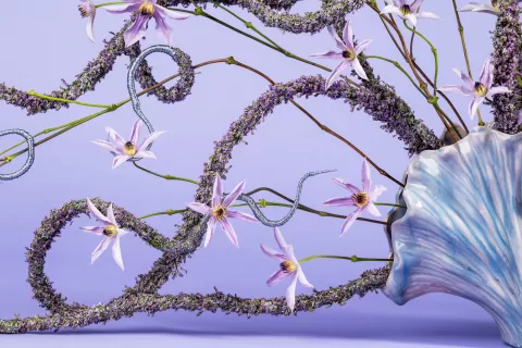 Hanneke Frankema design floral trends