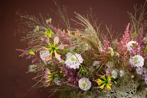 Mike Boerma - Clay Creation