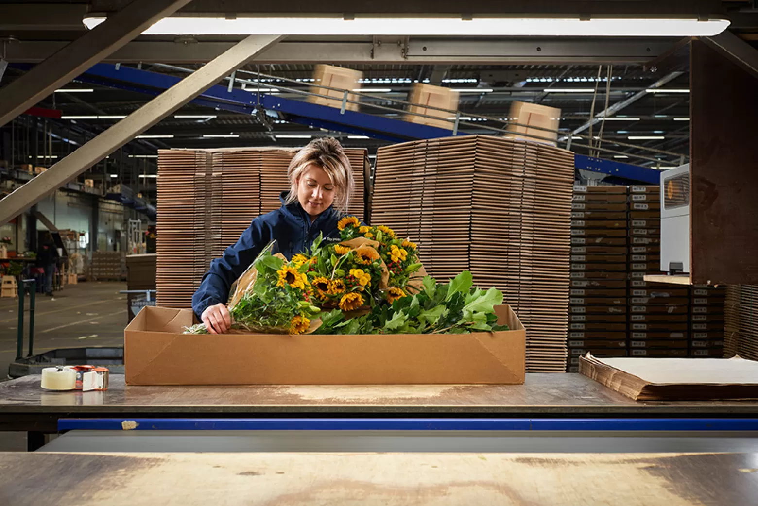 Van der Plas - Employee packing flowers