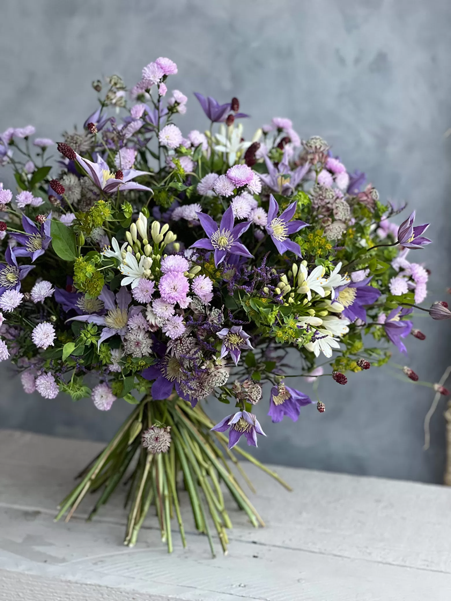 Agapanthus Gletsjer - Marginpar Cutflower