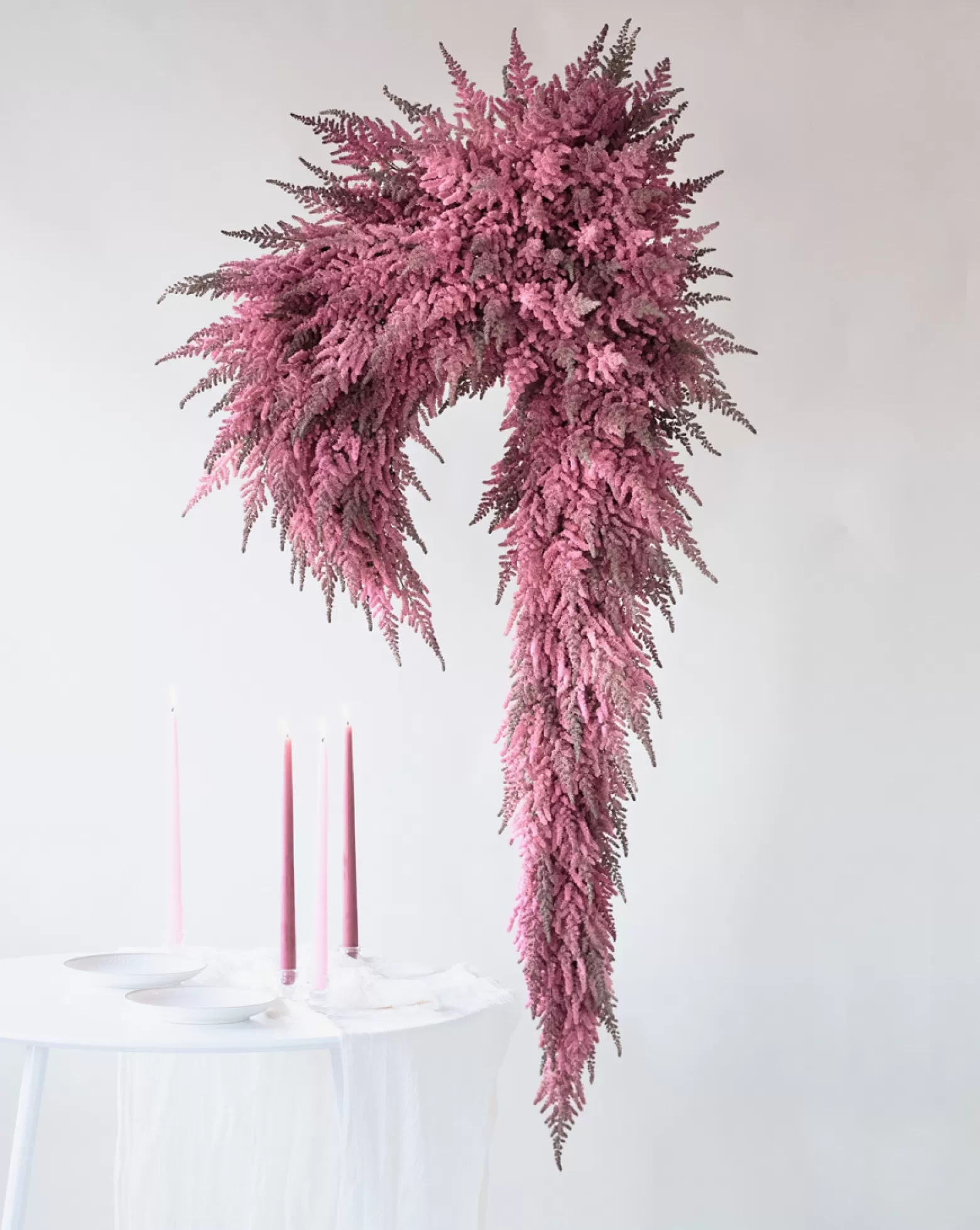 Astilbe cut flower Vision in Pink Marginpar