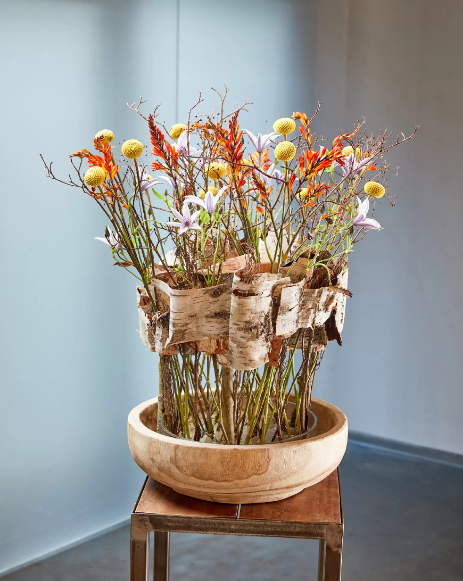 Crocosmia cut flower Marginpar