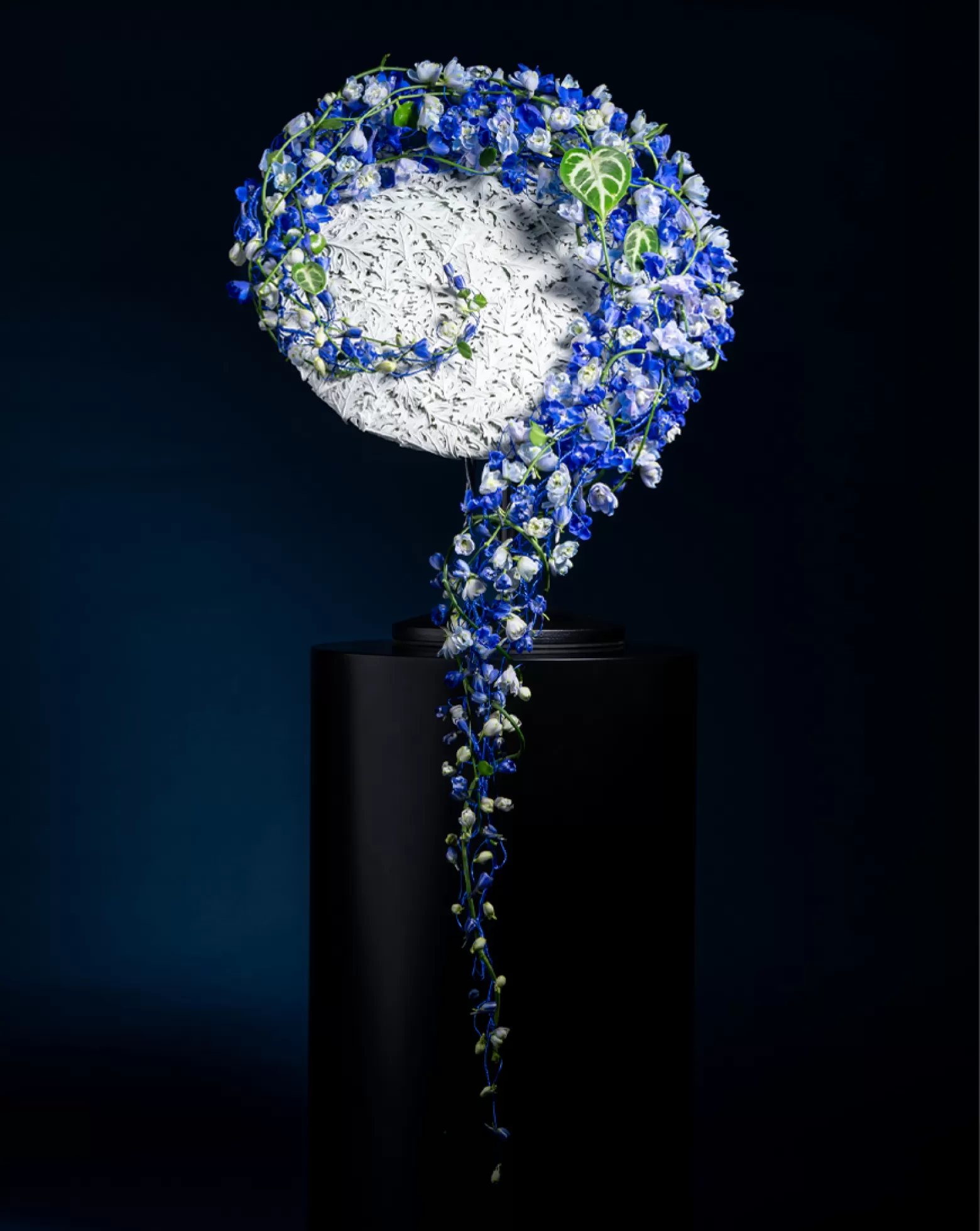 Marginpar Delphinium Bella Andes Azure cut flower