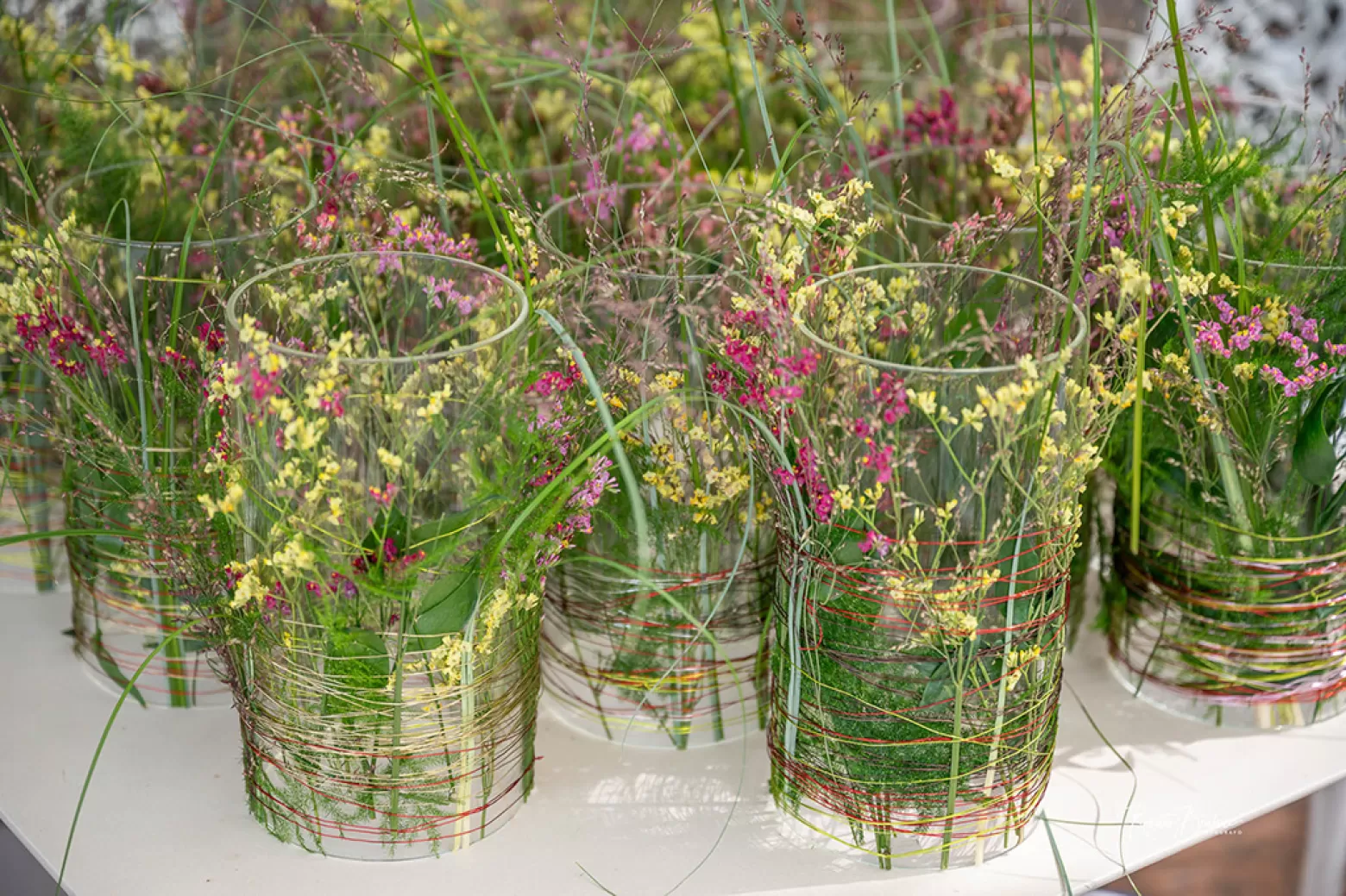 Limonium China Summer - Marginpar cut flowers