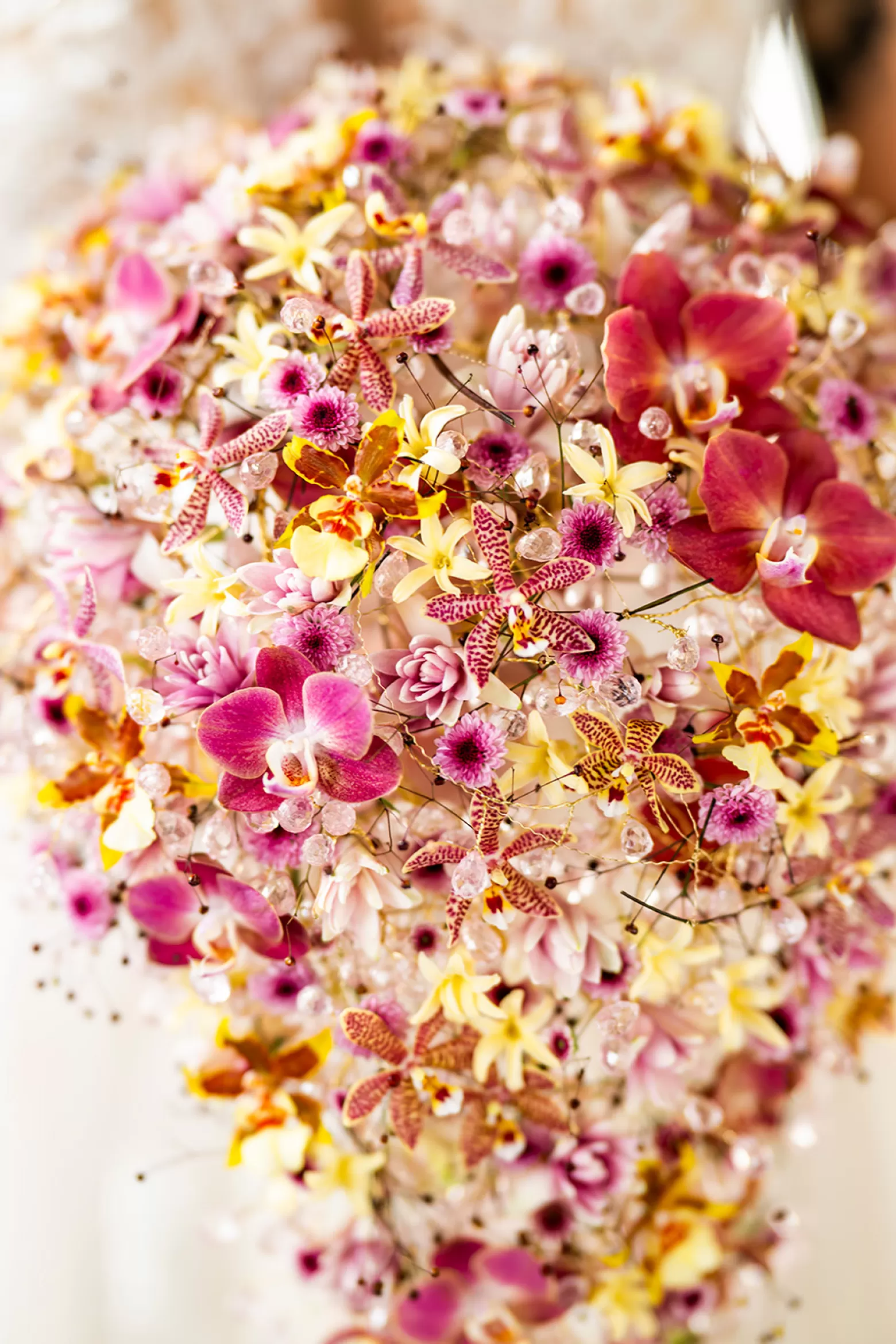 Polianthes Elle Pink - Marginpar Cutflower