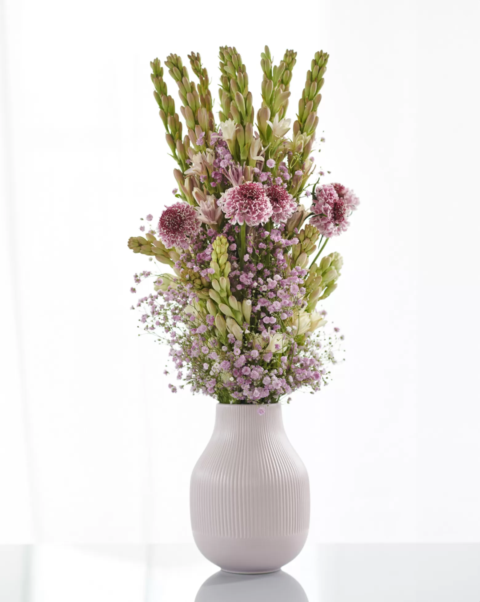 Polianthes cut flowers Elle Pink Marginpar