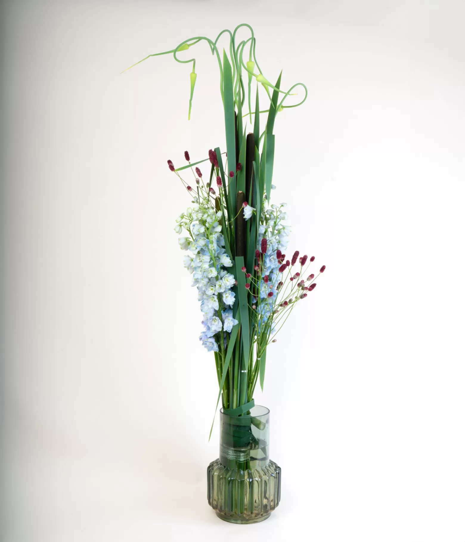 Sanguisorba cut flower Marginpar