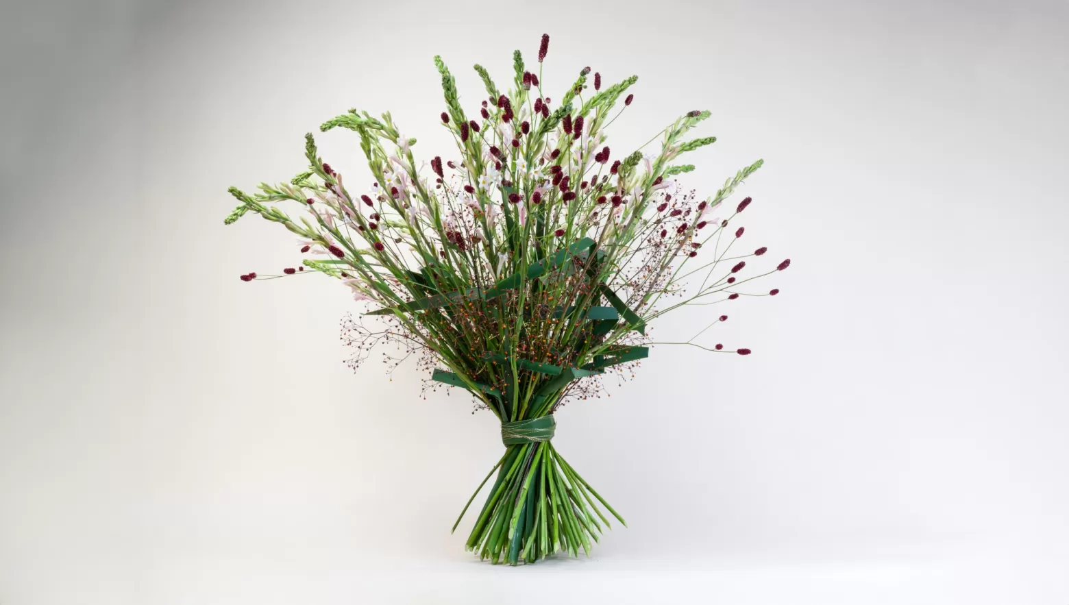 Sanguisorba cut flower Marginpar