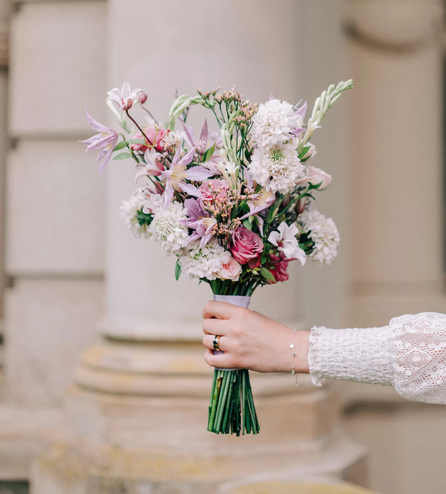 Scabiosa French Vanilla - MAFS