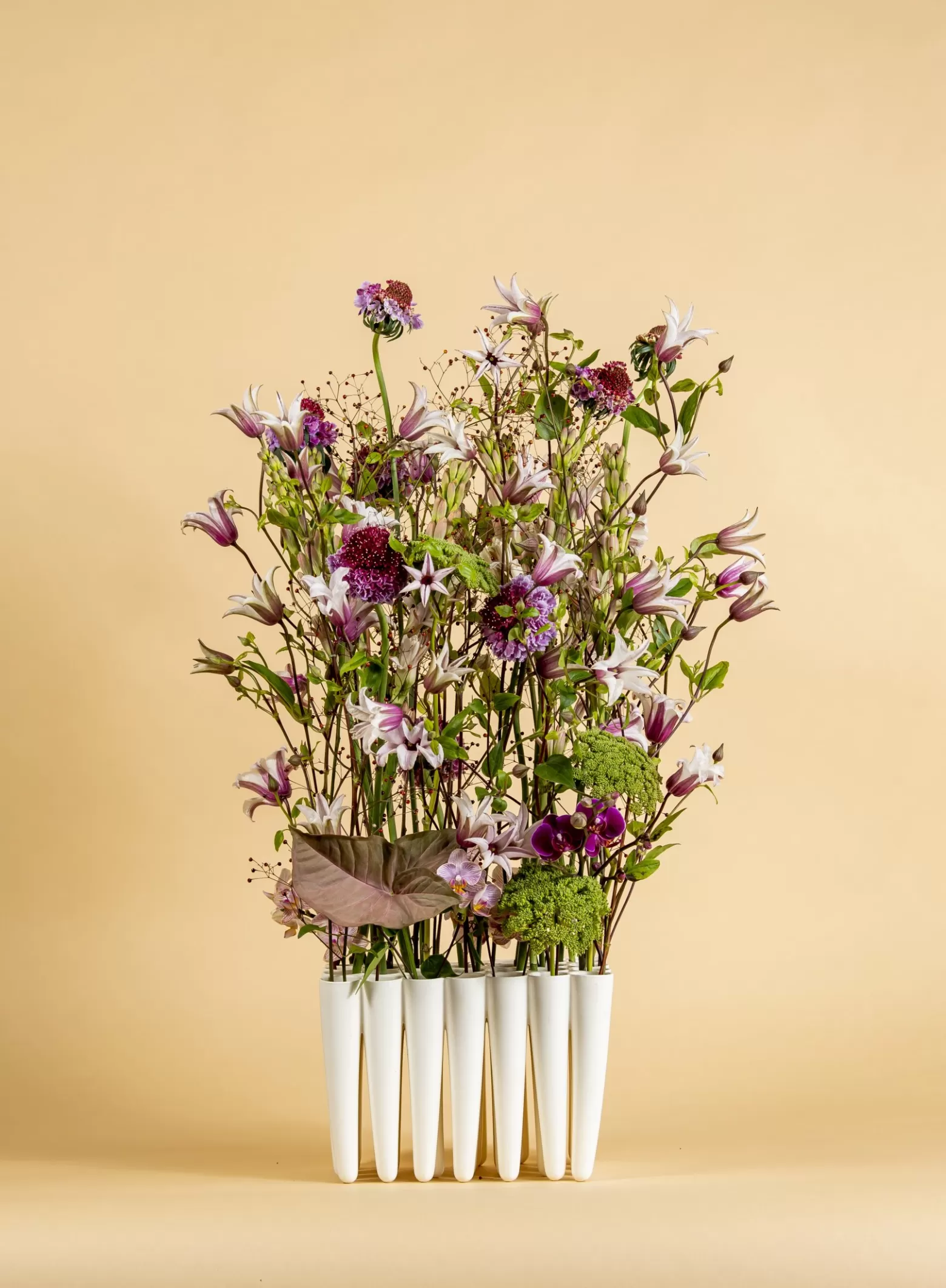 Marginpar Clematis Amazing Sevilla cut flower