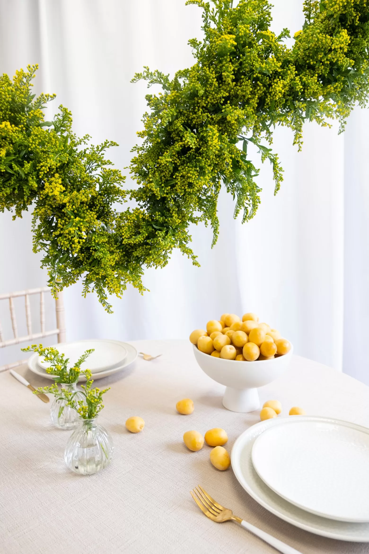 Solidago cut flower Marginpar