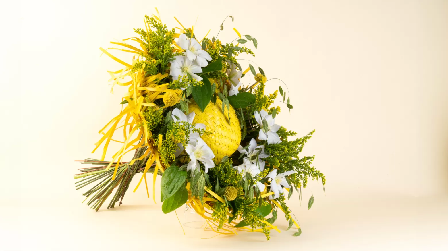 Solidago cut flower Marginpar