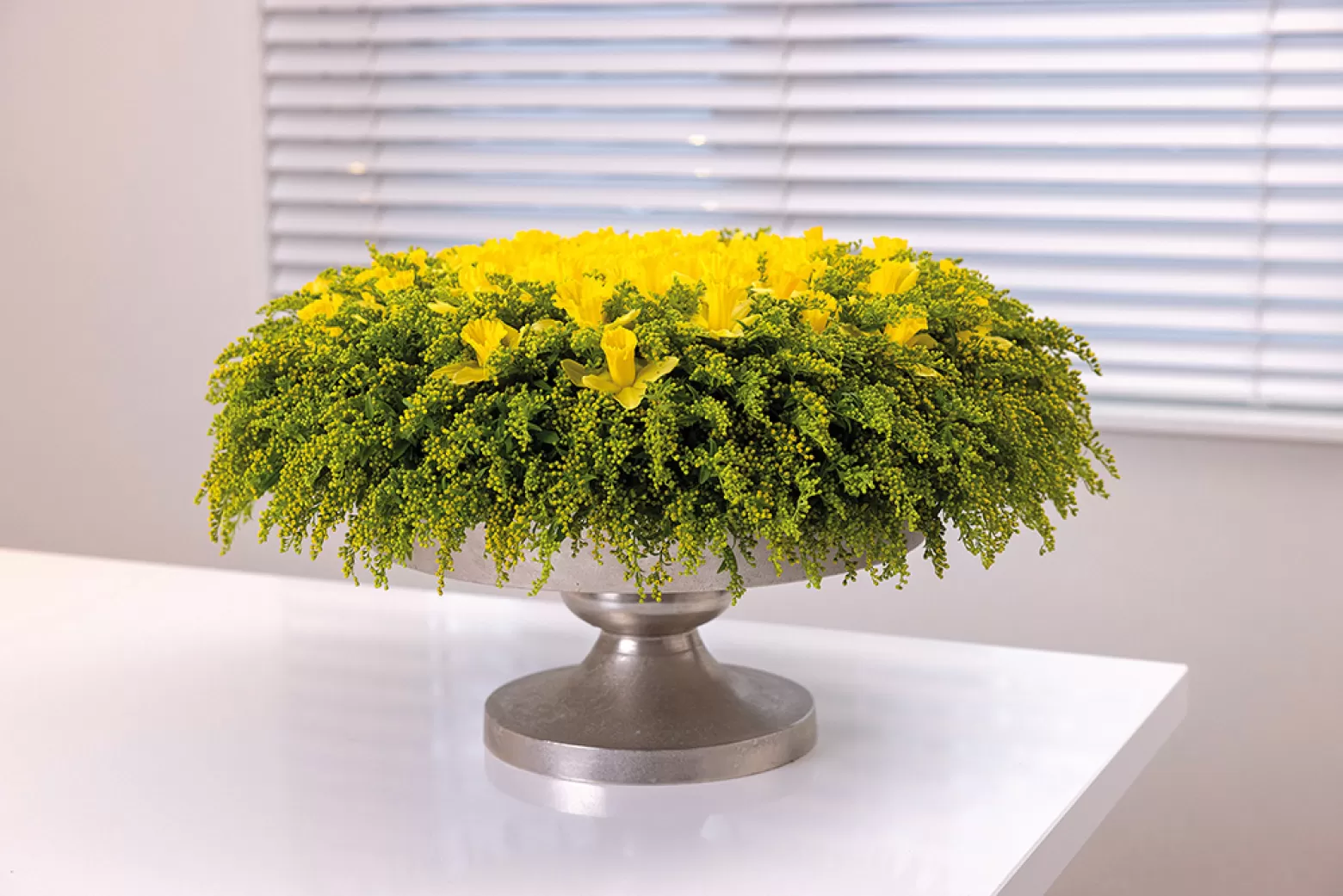 Solidago cut flower Marginpar