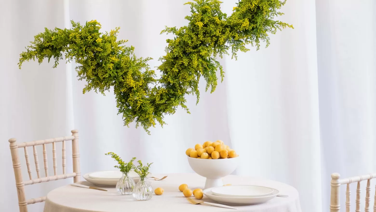 Solidago cut flower Marginpar