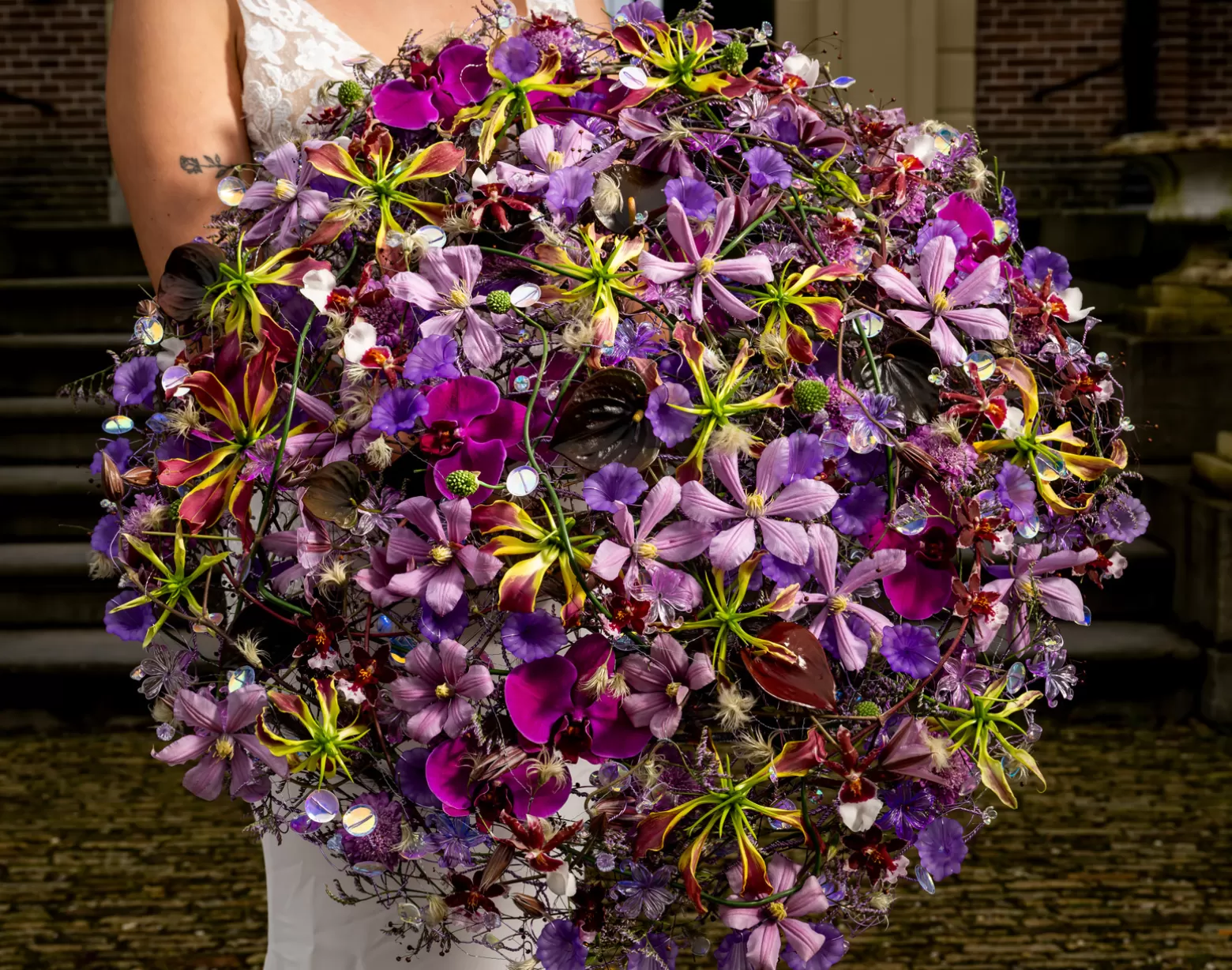 Hanneke Frankema - Clematis Amazing® Tokyo