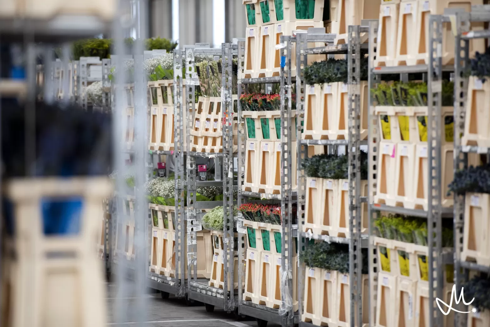 Flower distribution center Aalsmeer