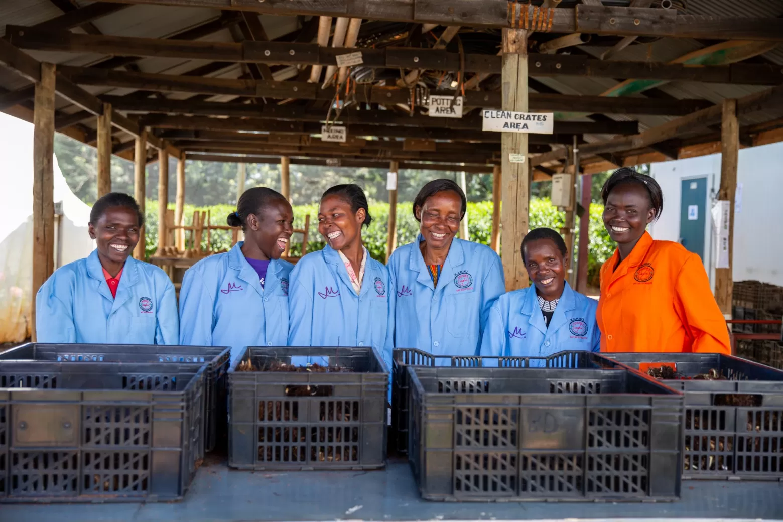 Propagation team in Kenya