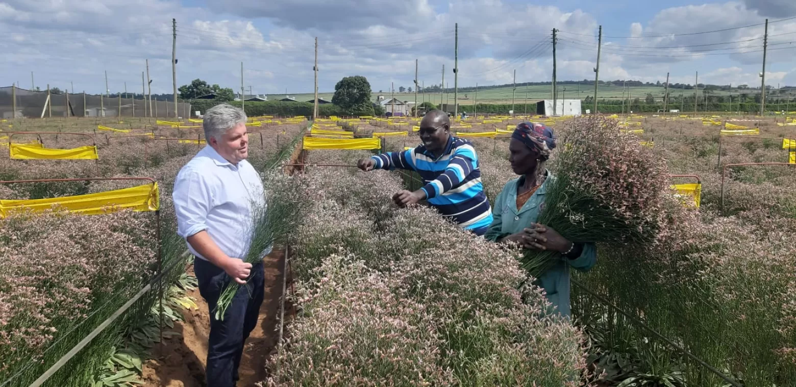 Jonathan Ralling in a Limonium flower field in Kenya