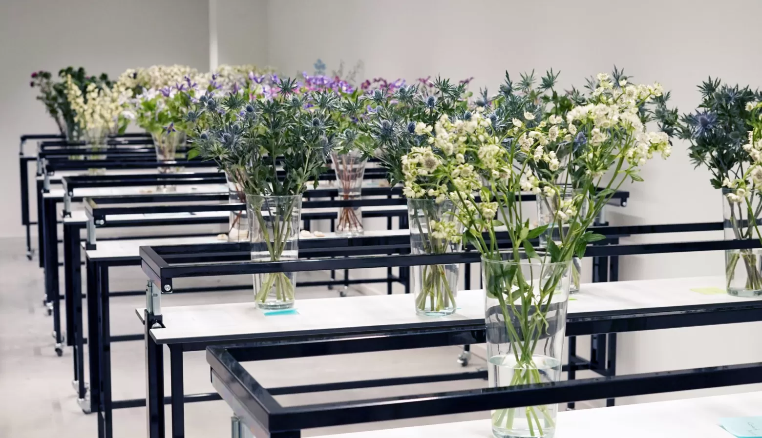 Flower lab Marginpar Eryngium Questar® Astrantia Billion Star® zeevracht testen