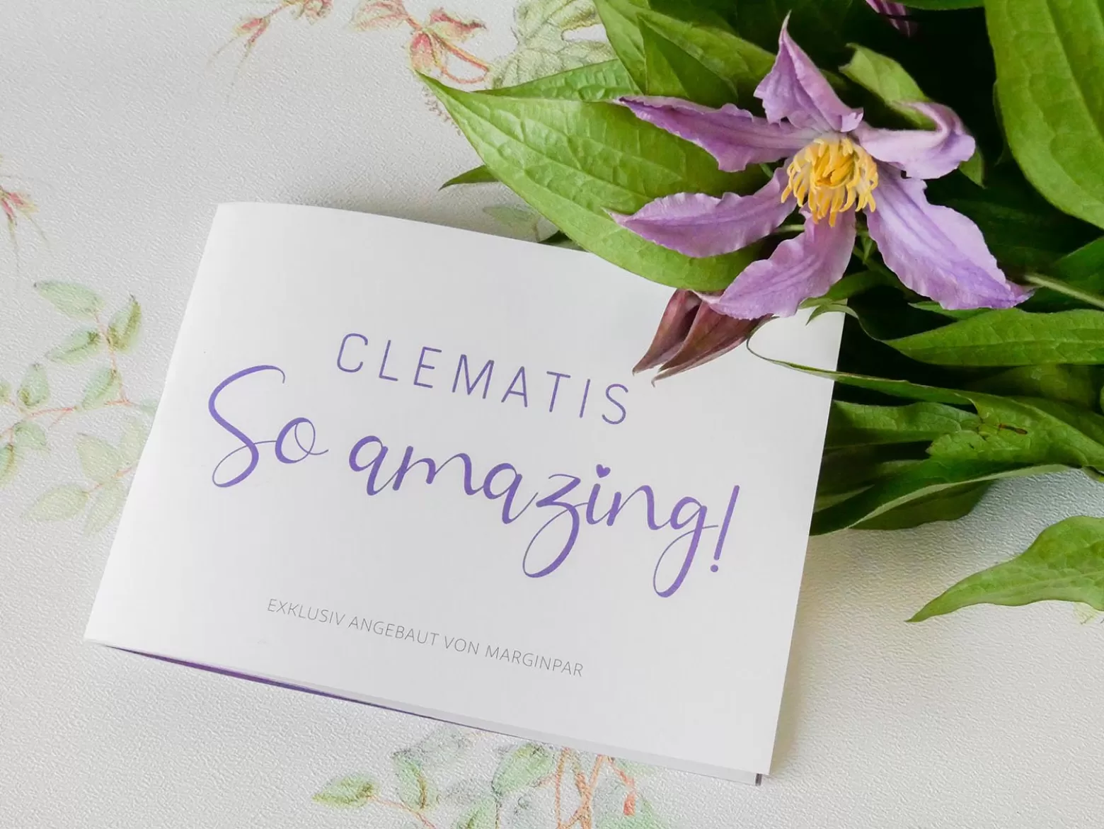 Clematis So Amazing Guide
