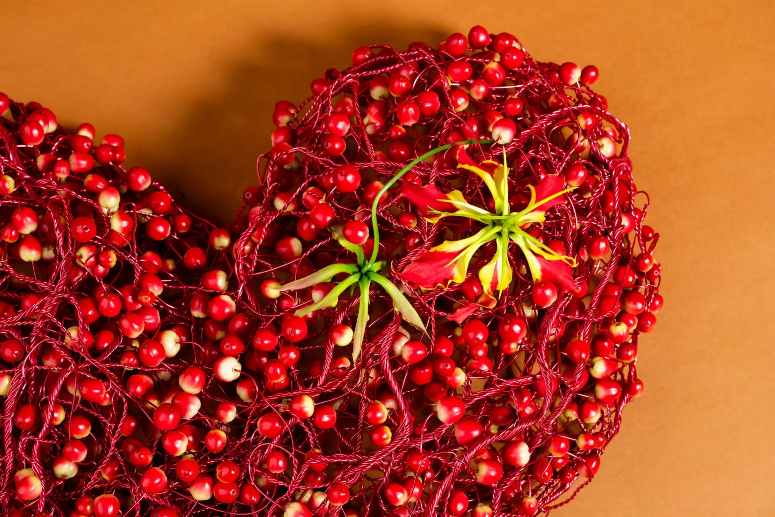 Hanneke Frankema design Hypericum hart