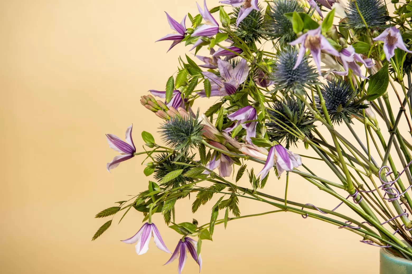 Clematis Amazing® Star River, Eryngium, Chasmanthium