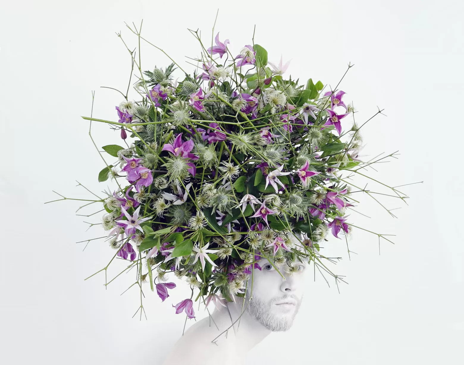 Clematis flower hair
