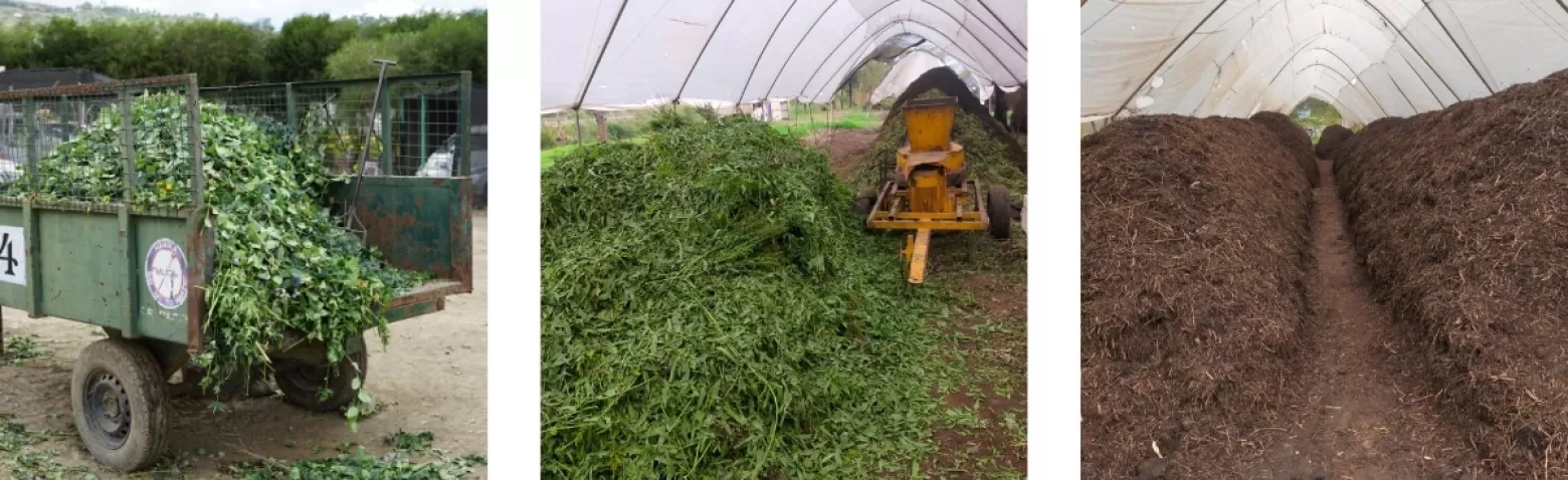 Compost